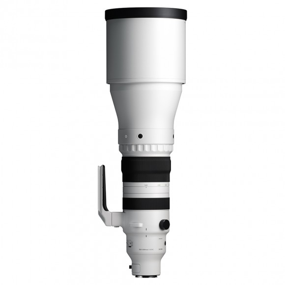 Sigma 300-600mm f/4 DG OS Sports - L-Mount