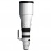 Sigma 300-600mm f/4 DG OS Sports - L-Mount