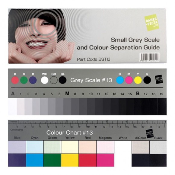 Danes-Picta Small Greyscale and Colour Separation Guide BST13