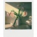 Polaroid Originals Instant Colour Film i-Type (8 photos) Polaroid Originals Instant Colour Film i-Type (8 photos)