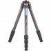 Leofoto Ranger LS-284C Carbon Fibre Tripod + LH-30 Ball Head Kit Leofoto Ranger LS-284C Carbon Fibre Tripod + LH-30 Ball Head Kit