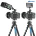 Leofoto F-19 Coldshoe Mini Ball Head