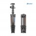 Leofoto Urban LX-225CT Carbon Fiber Tripod + XB-32Q Ballhead Leofoto Urban LX-225CT Carbon Fiber Tripod + XB-32Q Ballhead
