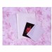 Kenro Clearface Bags 10.5x13 inches KEN-NB024
