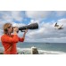 Nikon NIKKOR Z 800mm f/6.3 VR S Lens