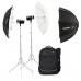Godox AD300Pro II Twin Kit - Kit 2 x Witstro Flash with Battery & Backpack Godox AD300Pro II Twin Kit - Kit 2 x Witstro Flash with Battery & Backpack
