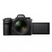 Nikon Z6 III w/ 24-70mm f/4 Lens