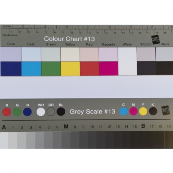 Danes-Picta Large Greyscale and Colour Separation Guide BST14