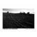 Ilford Delta 3200 Professional Black & White 35mm Film (36Exp)