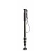 Gitzo GM2542 Carbon Monopod, Series 2, 4-Section