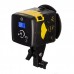 Interfit Badger Beam 60w Two Head Video Lighting Softbox Kit with Backpack