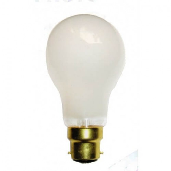 Photoflood P1 Bayonet Lamp 275W 240V
