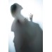 Colorama Translum 1.52m x 5.4m Light Translucent Roll (0.75 f-stop)