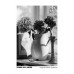 Ilford XP2 120mm B&W C-41 Process Film