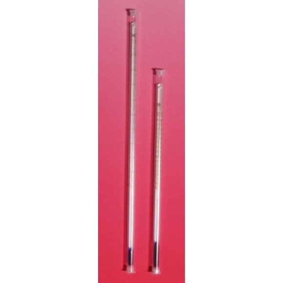Paterson 381 12 inch Colour Spirit Thermometer