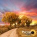 PermaJet Saturn Photo Semi-Gloss Canvas 350gsm 24inch x 12m PJ23368